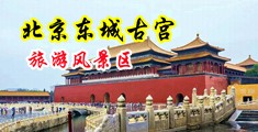 操女骚逼黄中国北京-东城古宫旅游风景区